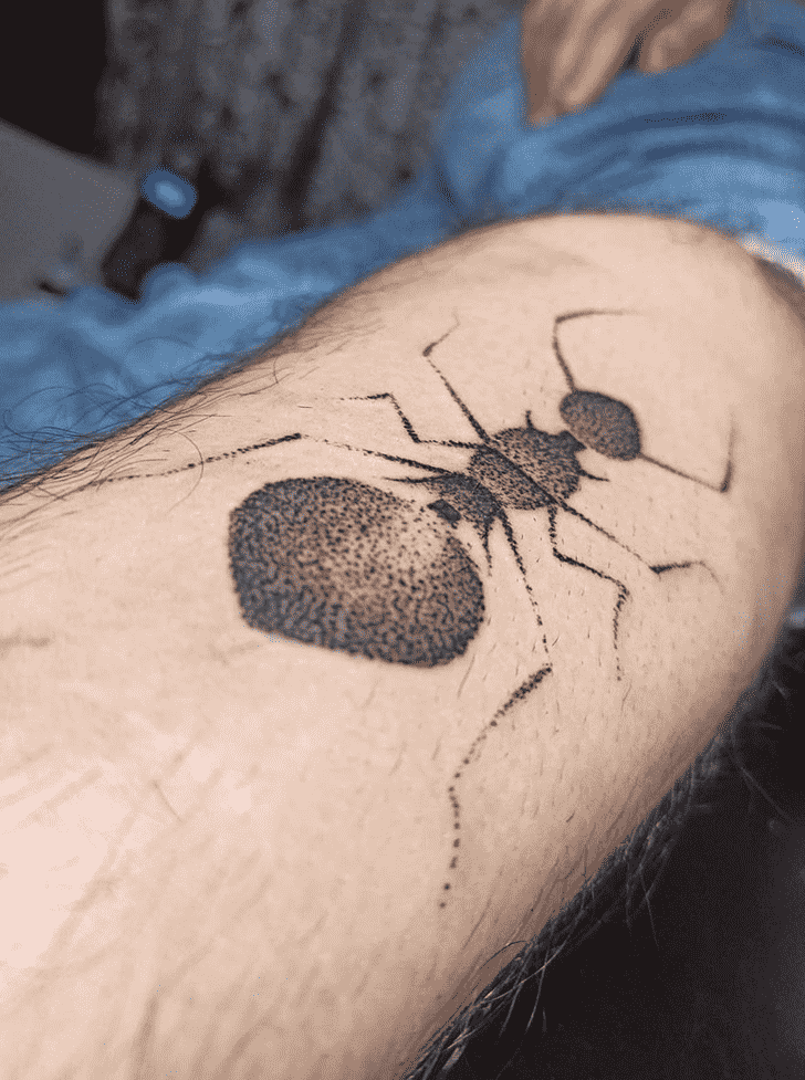 Ant Tattoo Picture
