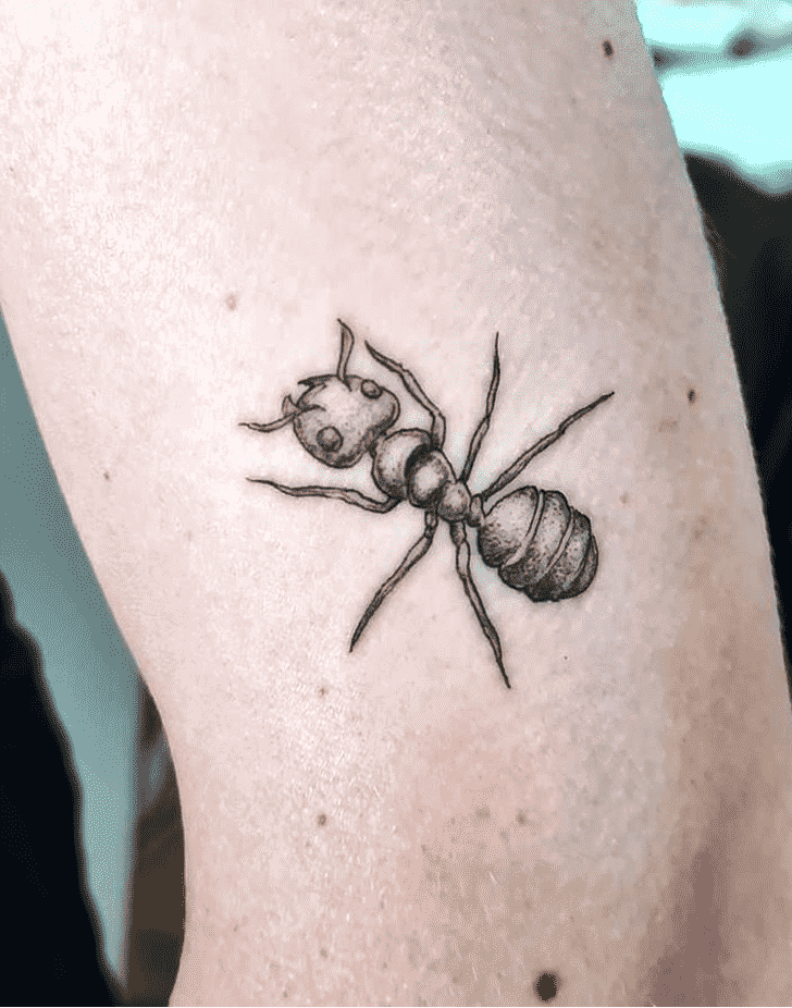 Ant Tattoo Design Image