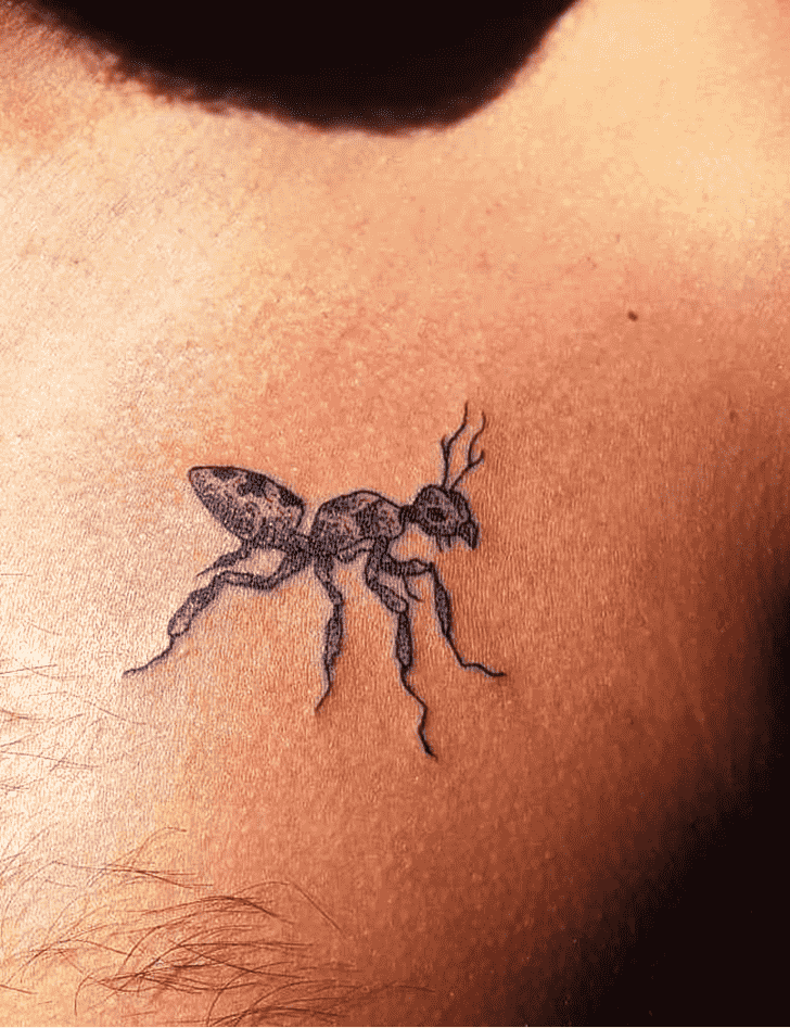 Ant Tattoo Photo