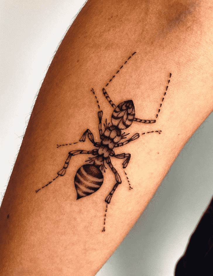 Ant Tattoo Photograph