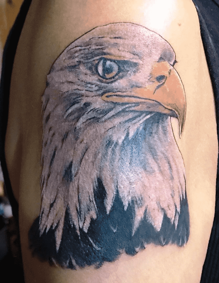 Bald Eagle Tattoo Picture