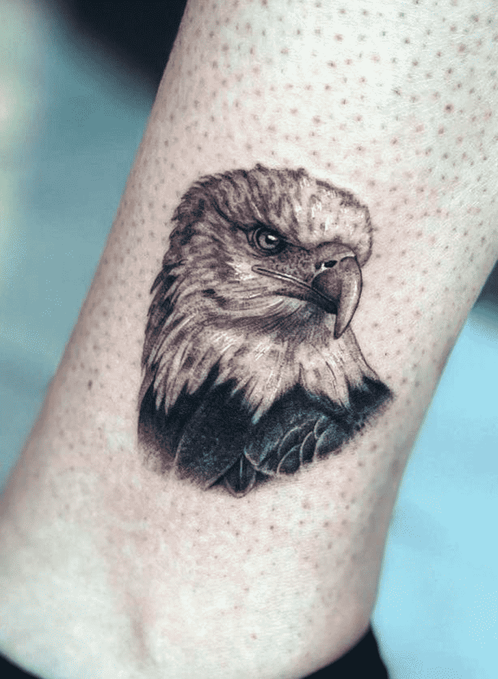 Bald Eagle Tattoo Photo