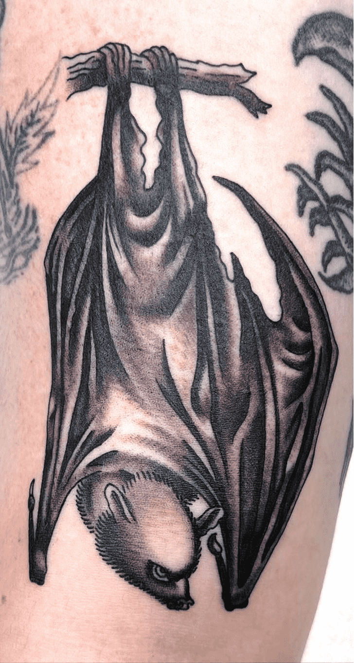 Bat Tattoo Photo