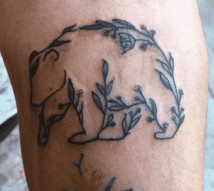 Bear Tattoo Shot