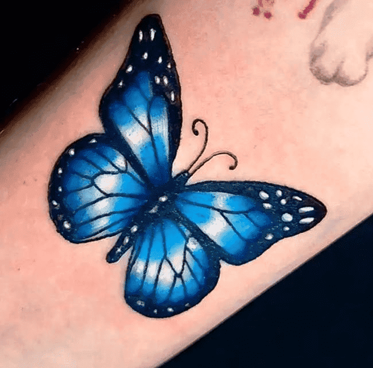 Beautiful Butterfly  Tattoo Ink