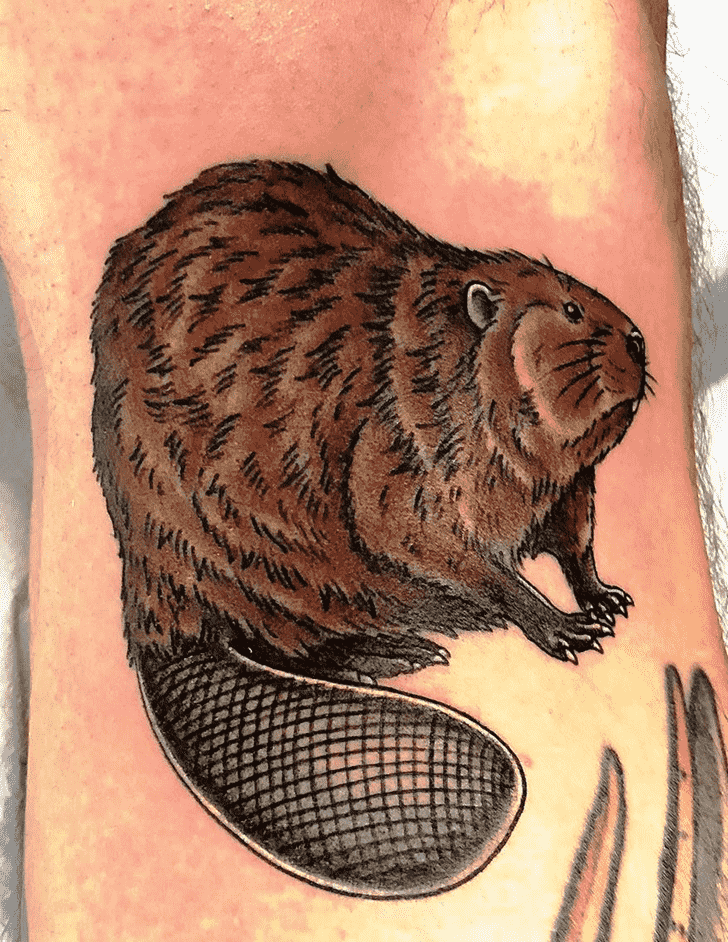 Beaver Tattoo Picture