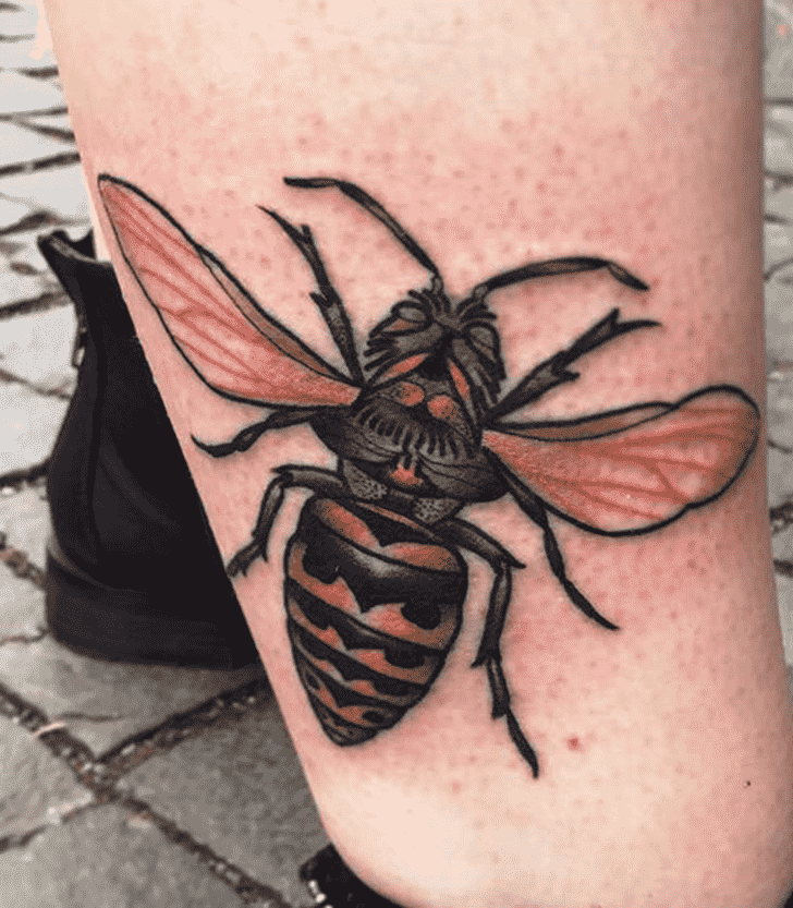 Beetle Bug Tattoo Portrait