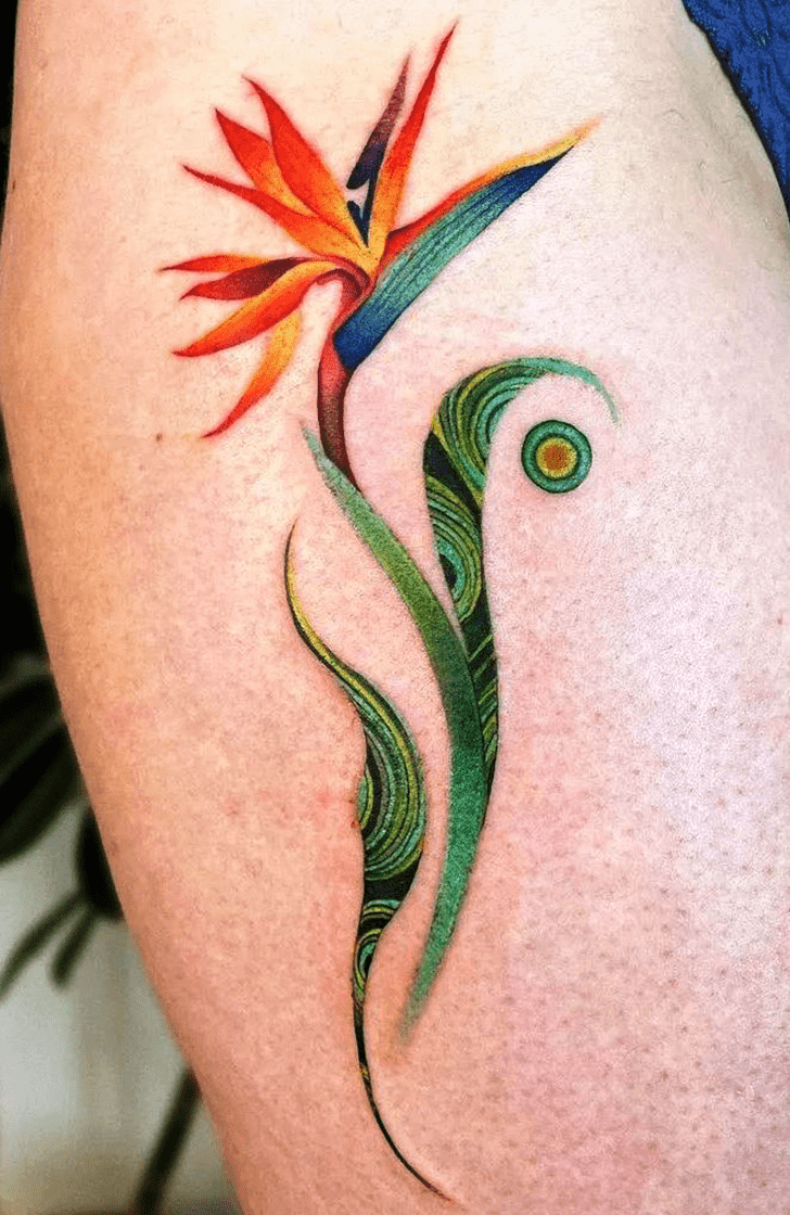 Bird of Paradise Tattoo Picture
