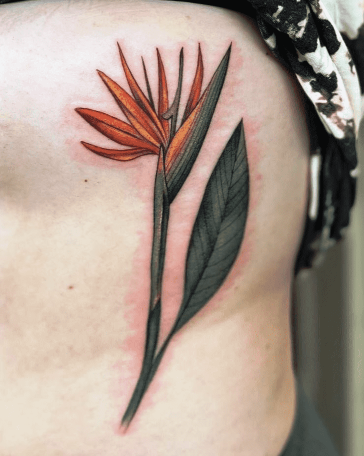 Bird of Paradise Tattoo Ink