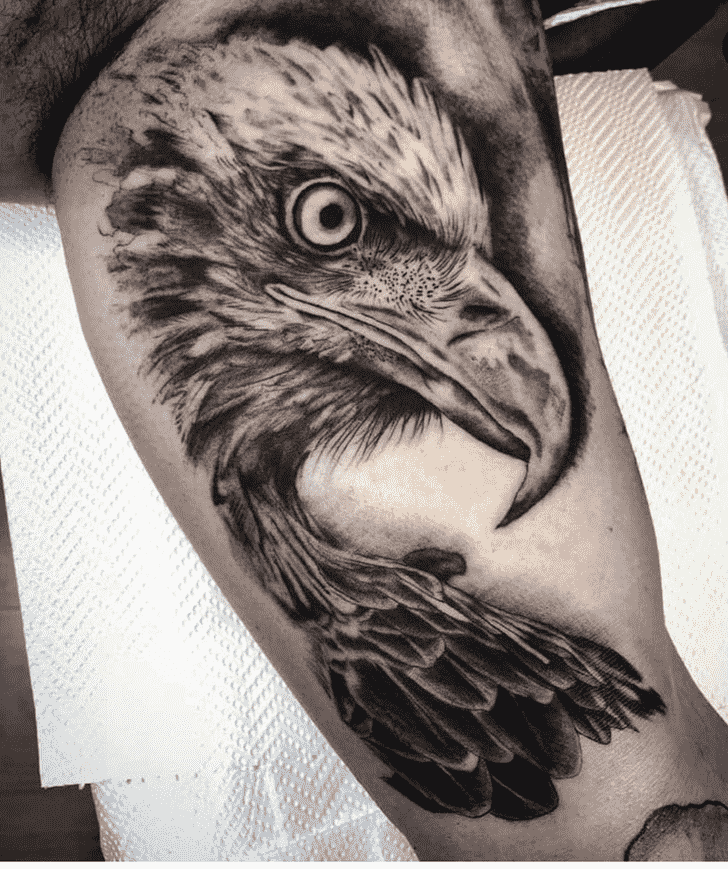 Bird Tattoo Shot