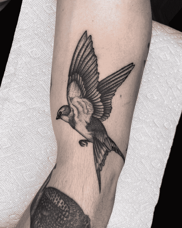Bird Tattoo Photograph