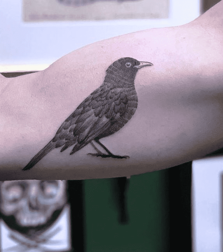 Black Bird Tattoo Photos