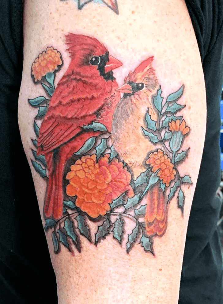 Cardinal Tattoo Shot