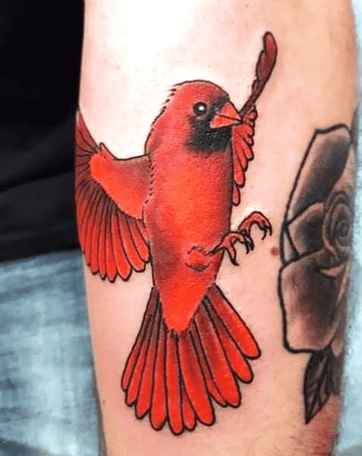 Cardinal Tattoo Design Image