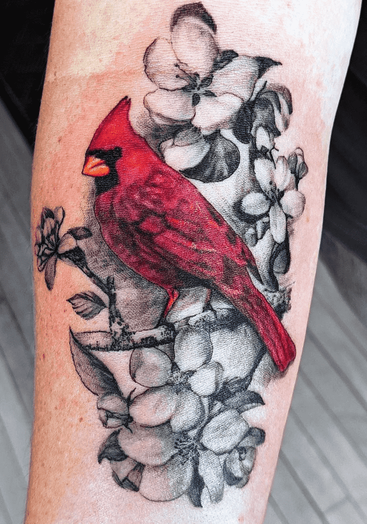 Cardinal Tattoo Photo