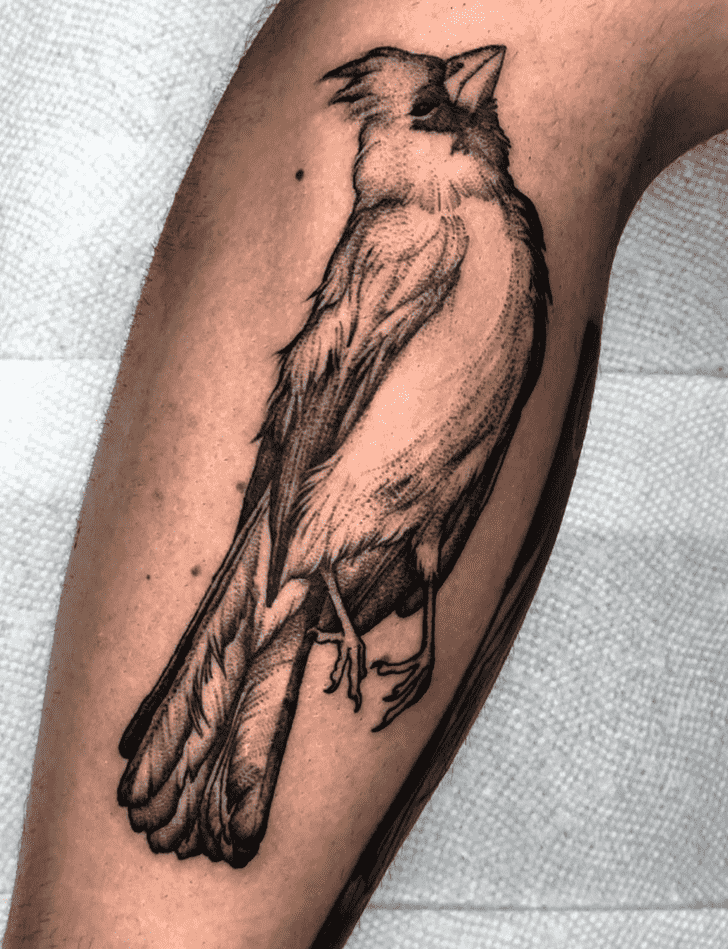 Cardinal Tattoo Shot