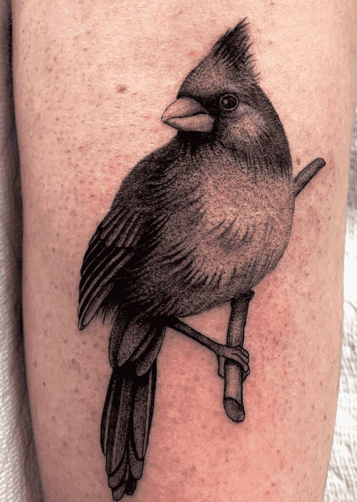 Cardinal Tattoo Design Image