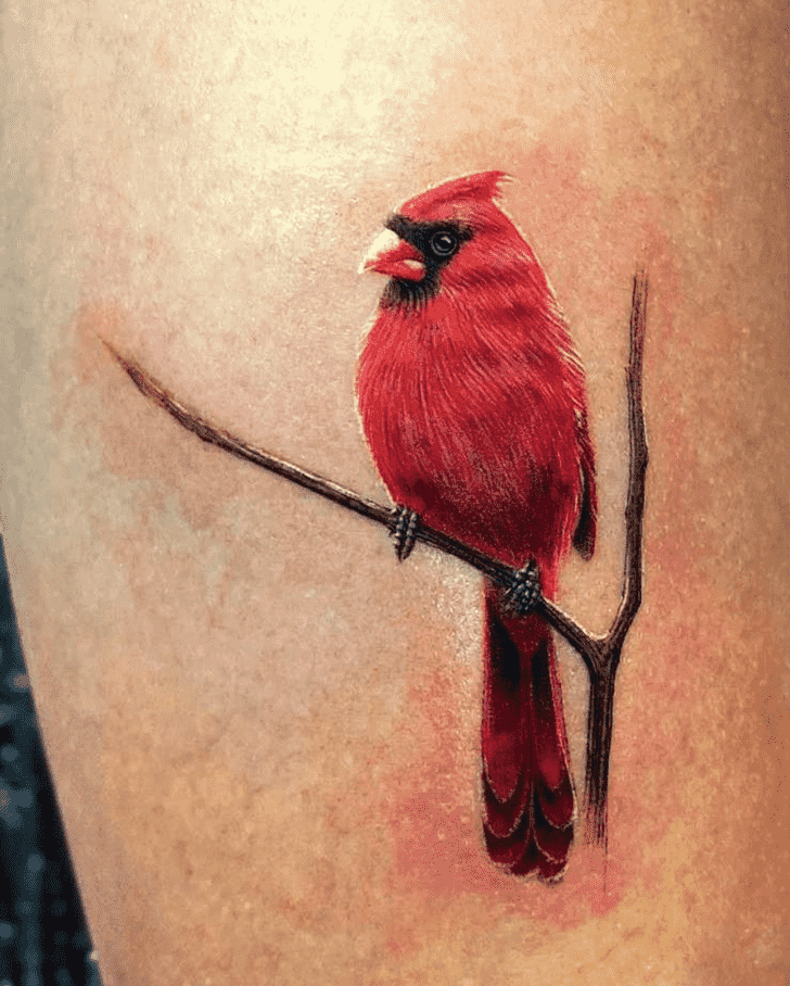 Cardinal Tattoo Photograph