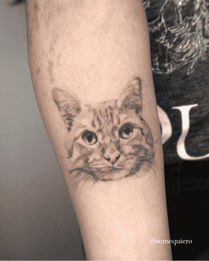 Cat Tattoo Portrait