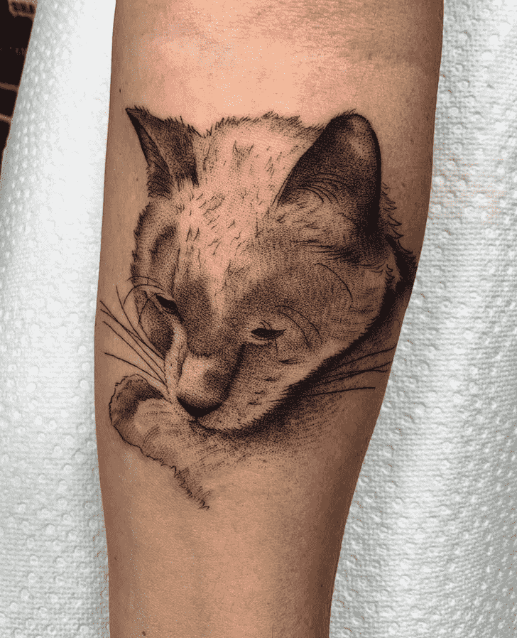 Cat Tattoo Snapshot
