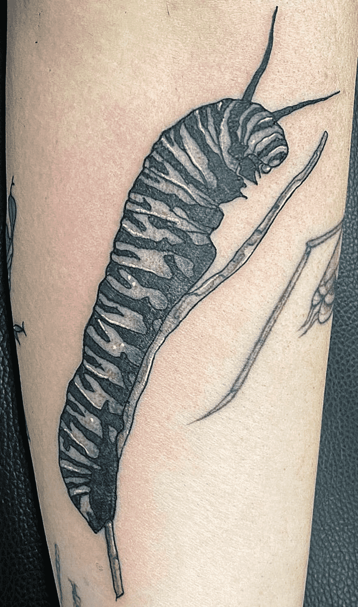 Caterpillar Tattoo Photo
