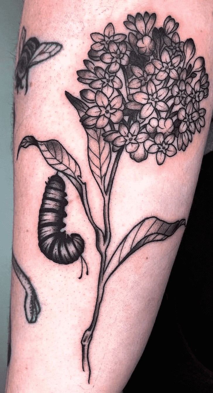Caterpillar Tattoo Photograph