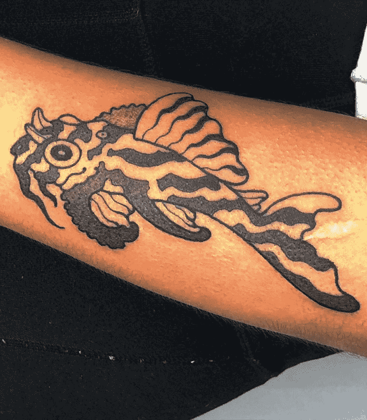Catfish Tattoo Photograph