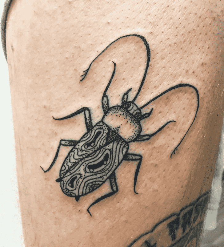 Cockroach Tattoo Photo