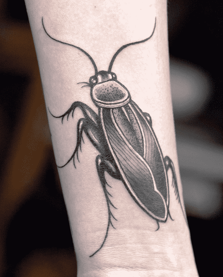 Cockroach Tattoo Photos