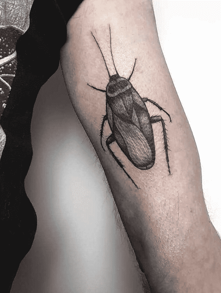 Cockroach Tattoo Photograph