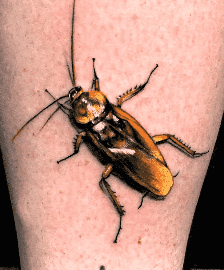 Cockroach Tattoo Photograph