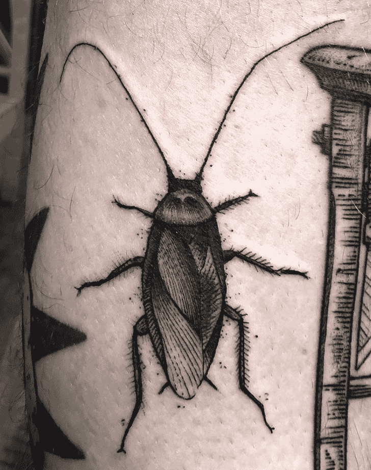Cockroach Tattoo Photo