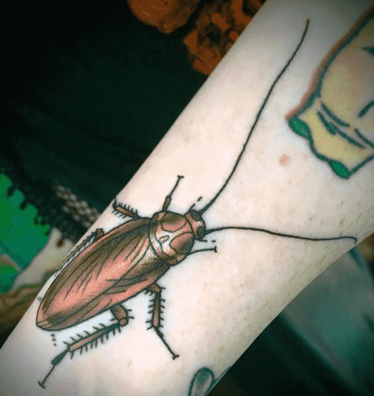 Cockroach Tattoo Snapshot