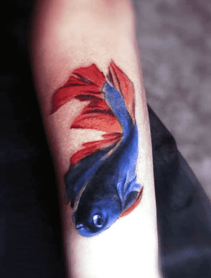 Colourfish Tattoo Photo