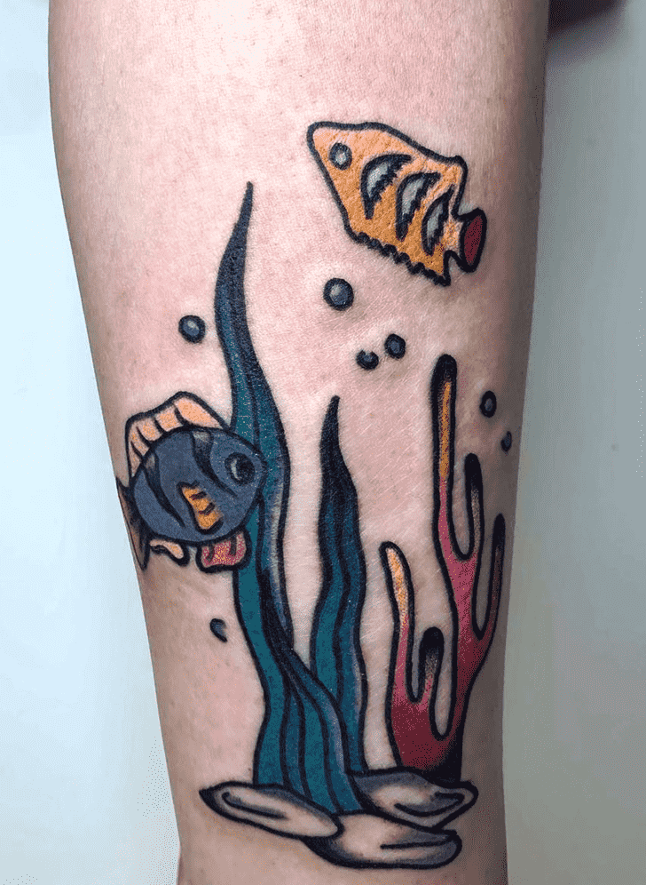 Colourfish Tattoo Photos
