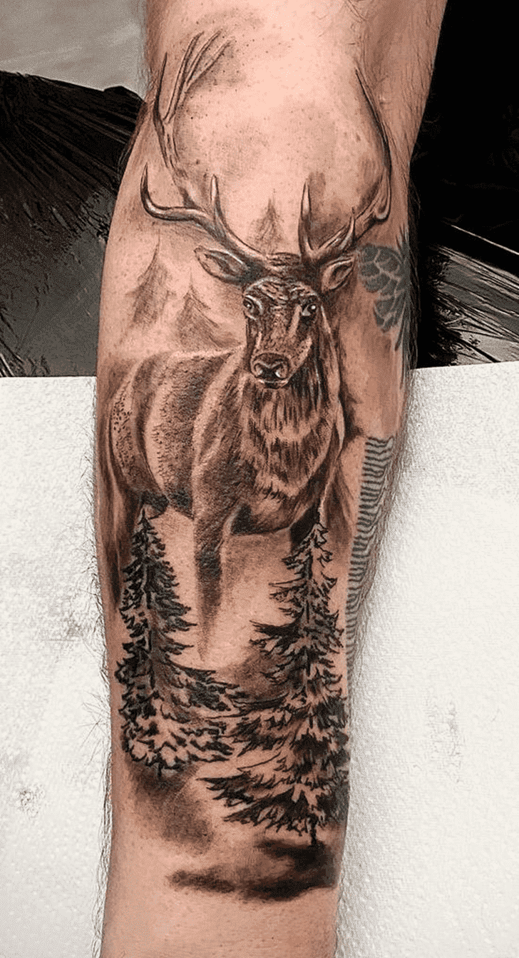 Deer Tattoo Photo