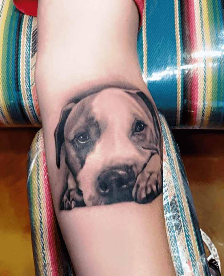 Dog Tattoo Photos