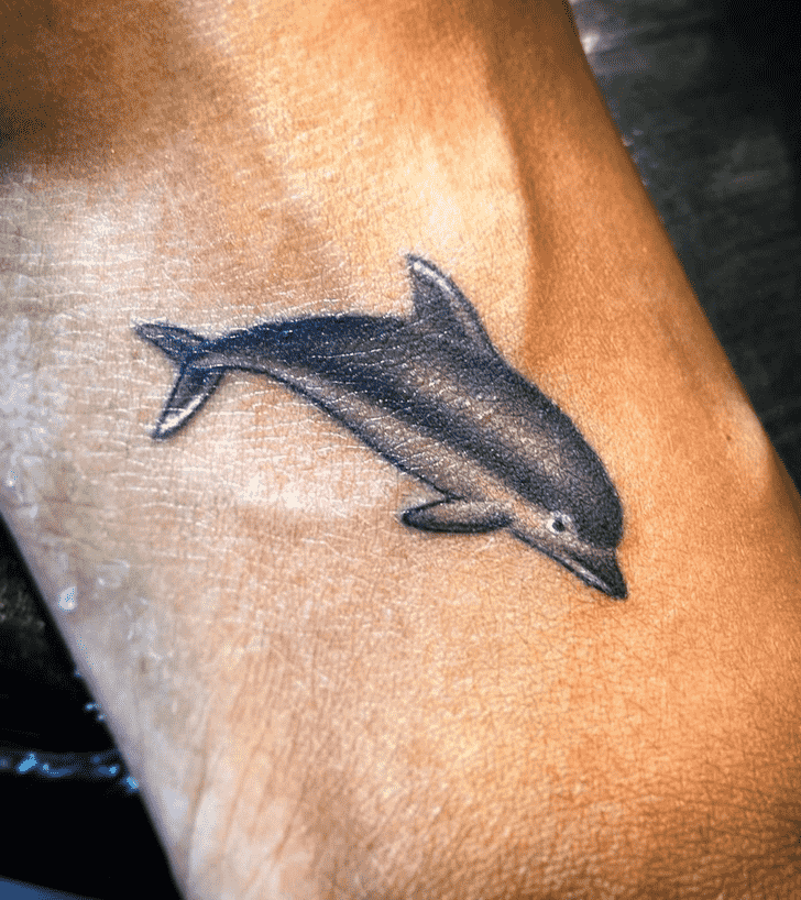 Dolphin Tattoo Design Image
