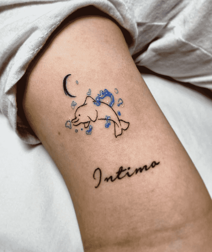 Dolphin Tattoo Photos