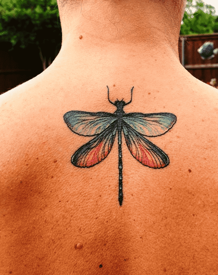 Dragonfly Tattoo Design Image