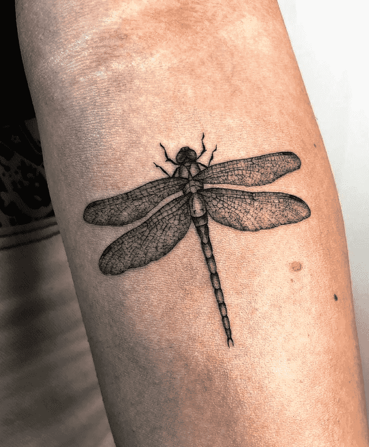 Dragonfly Tattoo Picture