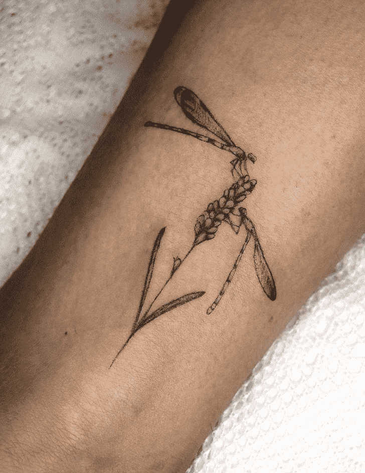 Dragonfly Tattoo Picture