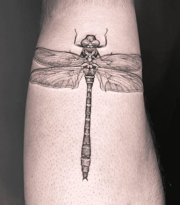 Dragonfly Tattoo Photos
