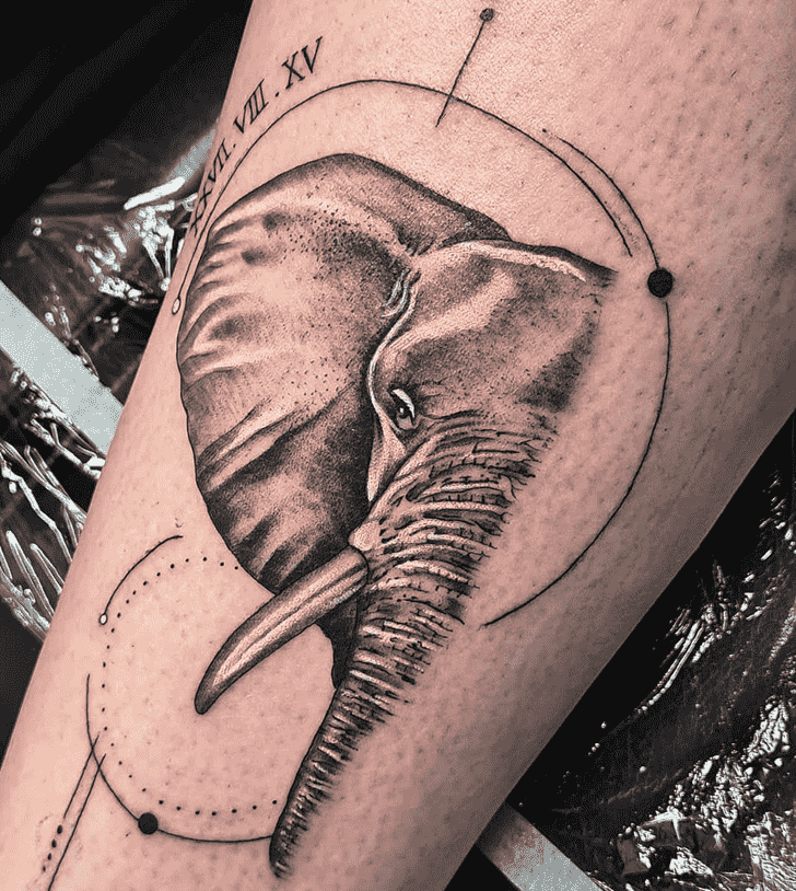 Elephant Tattoo Photograph