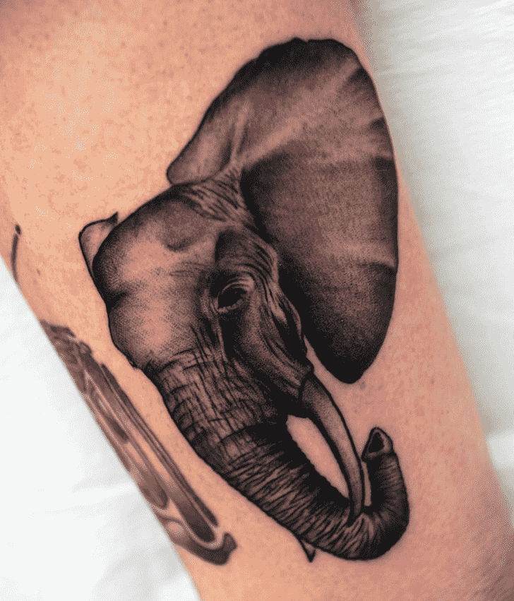 Elephant Tattoo Snapshot