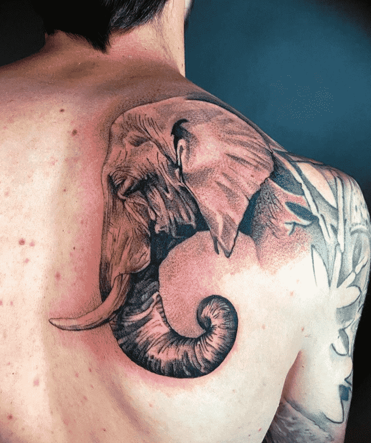 Elephant Tattoo Shot
