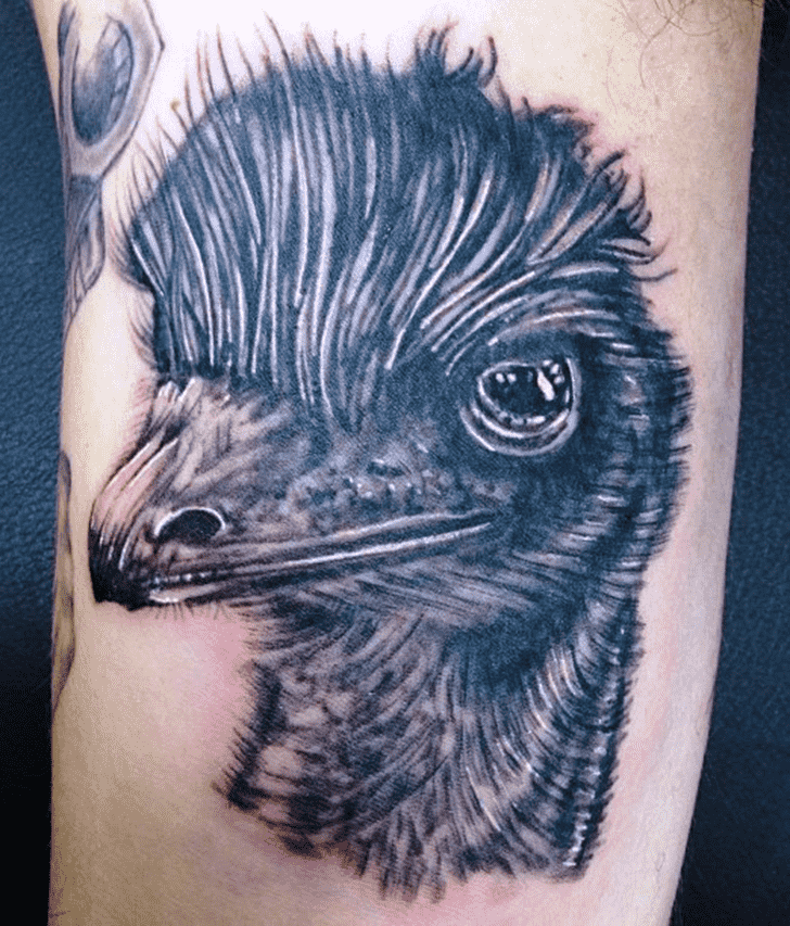 Emu Tattoo Design Image