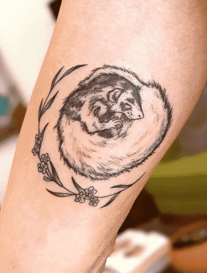 Ferret Tattoo Picture