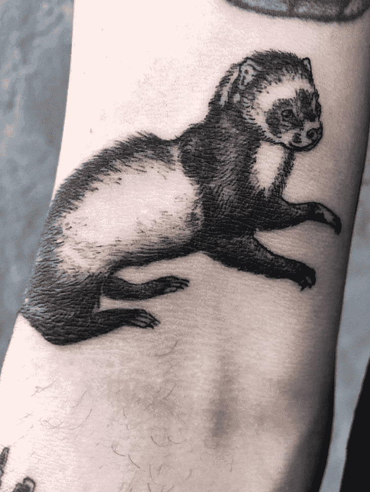 Ferret Tattoo Ink