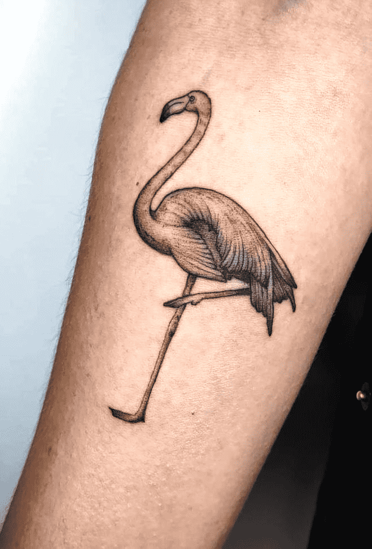 Flamingo Tattoo Photograph
